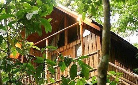 Bayrams Tree Houses Олімпос Екстер'єр фото